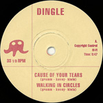 ADEN, Cause of Your Tears 7-inch vinyl 45